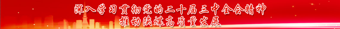 深入學(xué)習(xí)貫徹黨的二十屆三中全會(huì)精神 推動(dòng)陜煤高質(zhì)量發(fā)展